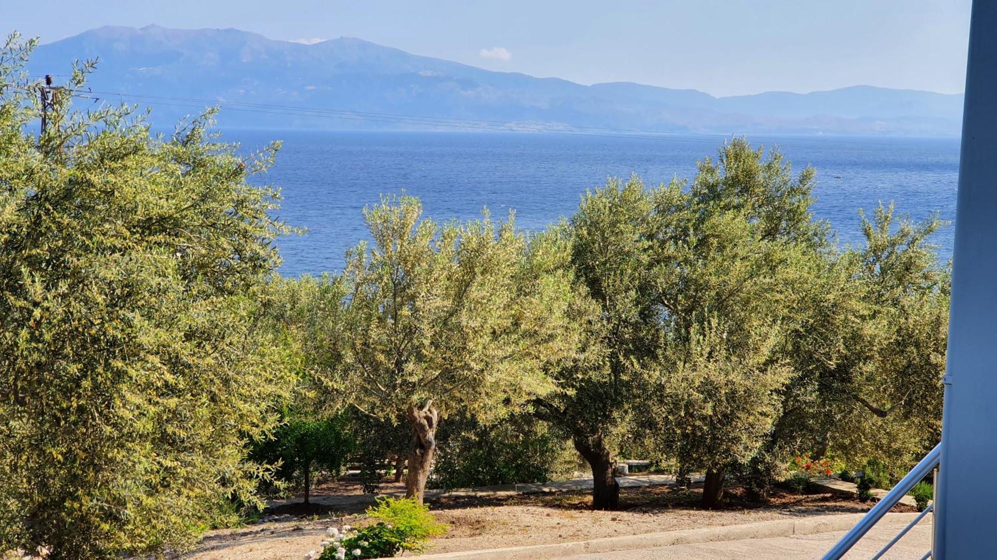 Assos Nazan Motel Restoran Beach Sokakagzi Стая снимка