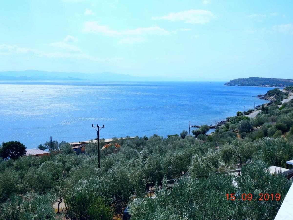 Assos Nazan Motel Restoran Beach Sokakagzi Екстериор снимка