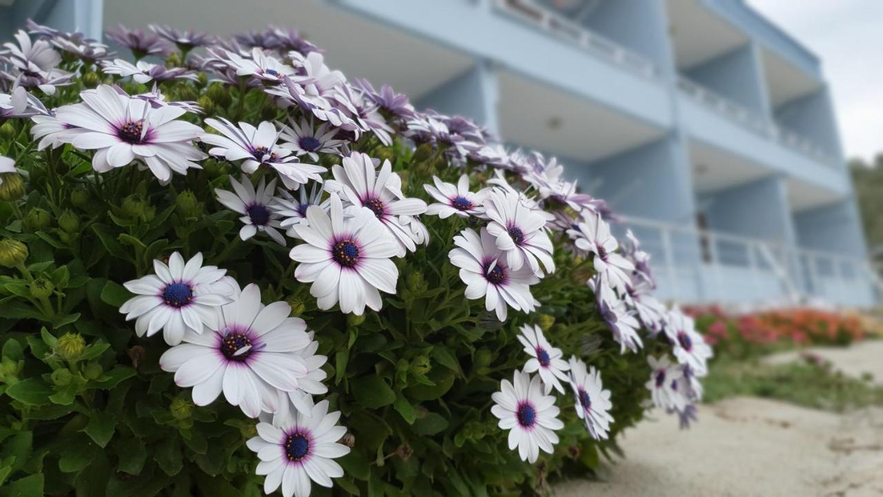 Assos Nazan Motel Restoran Beach Sokakagzi Екстериор снимка